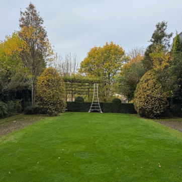 Entretien-de-gazon-prestige-et-taille-de-haies-architecturales
