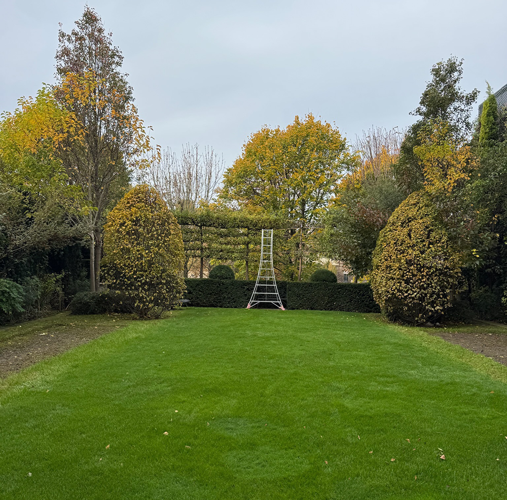 Aménagement de Jardin Paysager