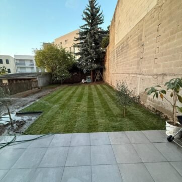 Entretien de jardin après pose de gazon Utilisation du souffleur Aménagement et maintenance de pelouse urbaine