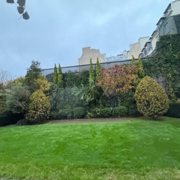 Entretien-de-jardin-urbain-gazon-parfait-et-haies-taillées