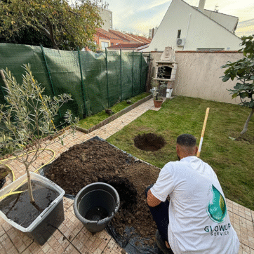 Plantation-d-arbres-et-arbustes-dans-un-jardin-aménagé