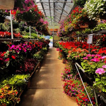 7ae35e64c963e45a3e3e956132e4fcbe