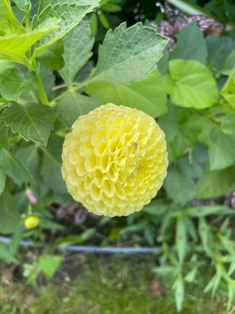 C013A4C4-28E6-48C1-BCAA-0965443EBE46