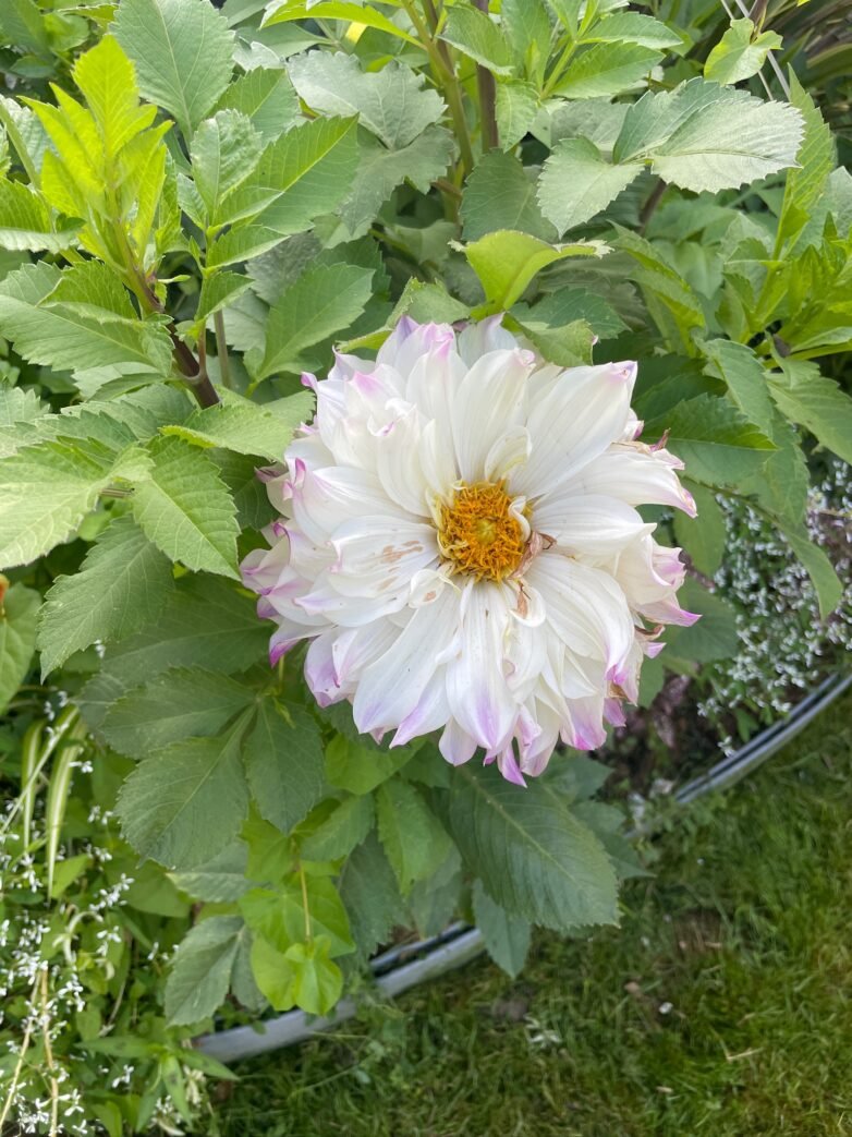 CC9B4129-FD4B-4807-9569-EA116A028850